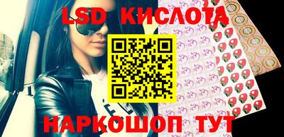 крисы Кунгур