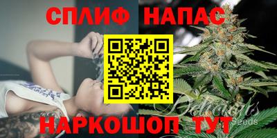 крисы Кунгур