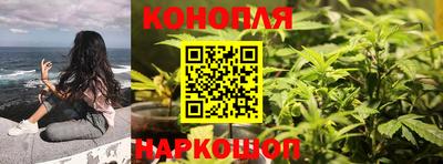 шишки Краснознаменск