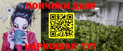 крисы Кунгур