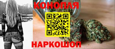 крисы Кунгур