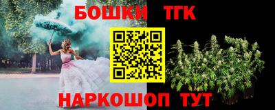 крисы Кунгур