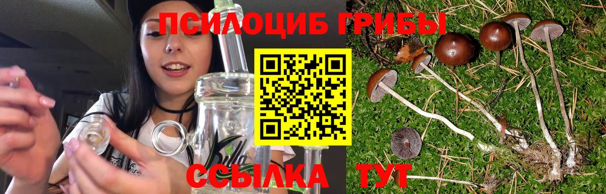 Екатеринбург  Галлюциногенные грибы прущие грибы  где продают наркотики  Вход с VPN  Псилоцибиновые грибы GOLDEN TEACHER 